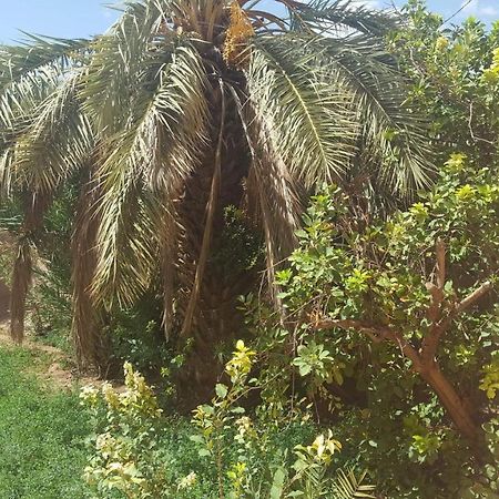 Maison D'Hotes Jardin Tamnougalt Kültér fotó